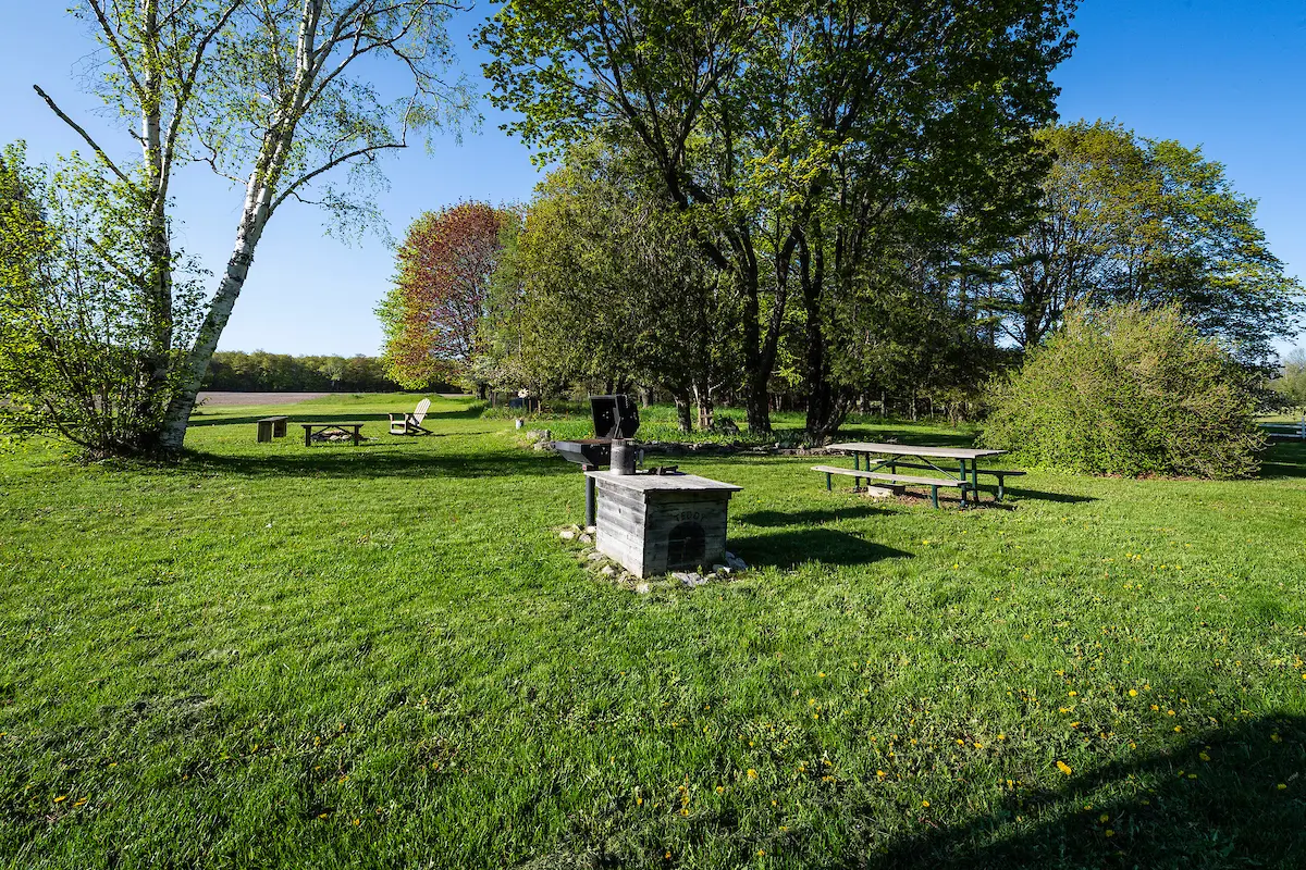 A park with benches and trees in the background.