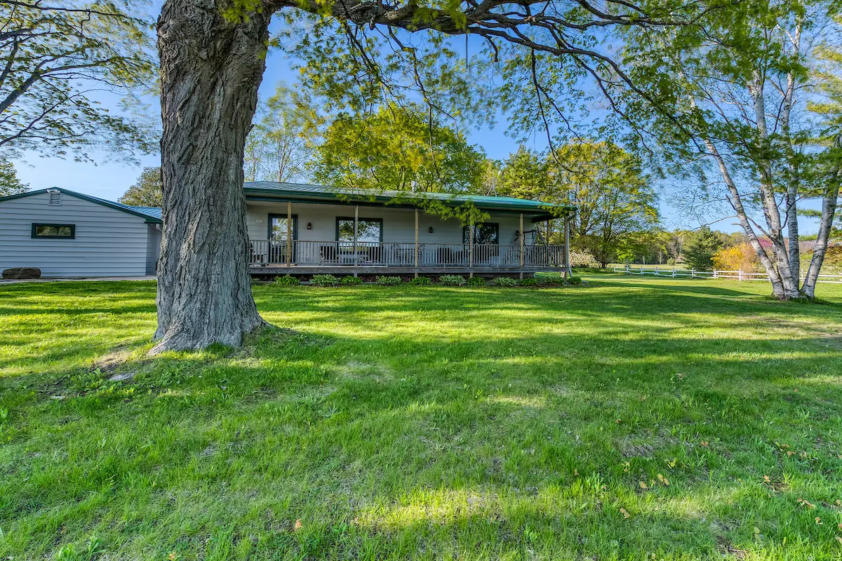 A large tree in front of a house.